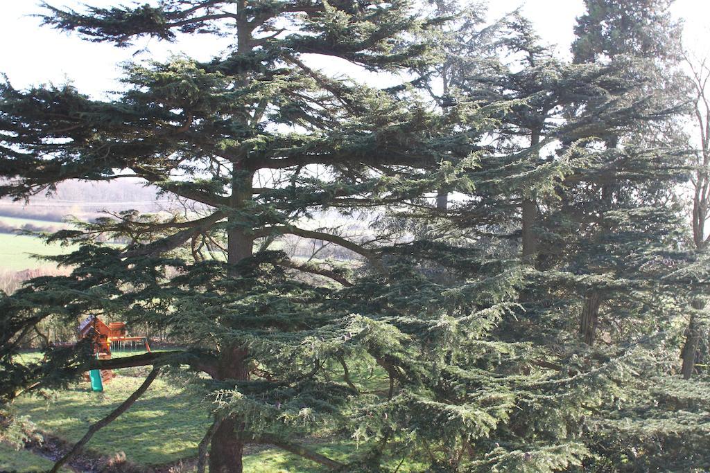 Chateau De La Folie Trie-Château Δωμάτιο φωτογραφία